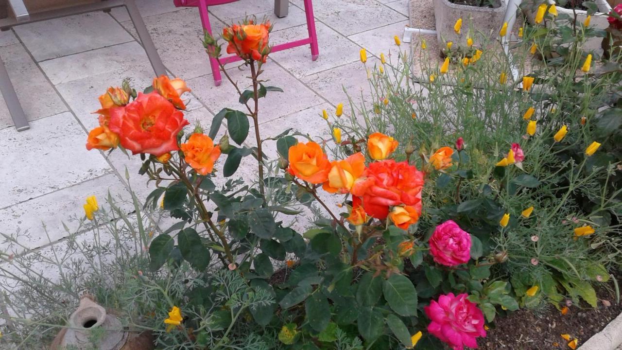 Les Hirondelles Onzain Exterior foto