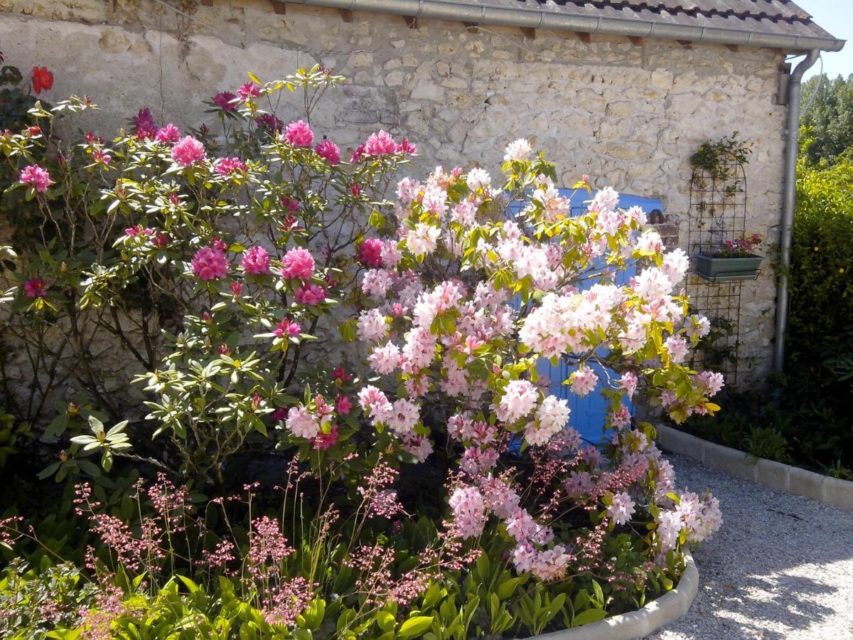 Les Hirondelles Onzain Exterior foto