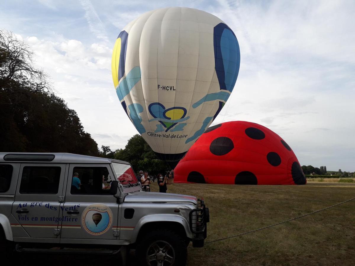 Les Hirondelles Onzain Exterior foto