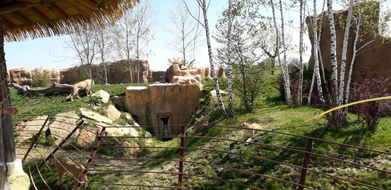Les Hirondelles Onzain Exterior foto