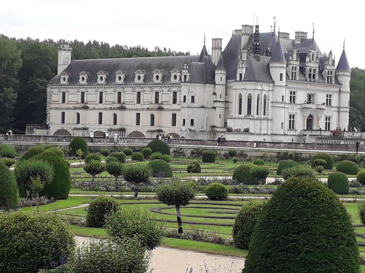 Les Hirondelles Onzain Exterior foto