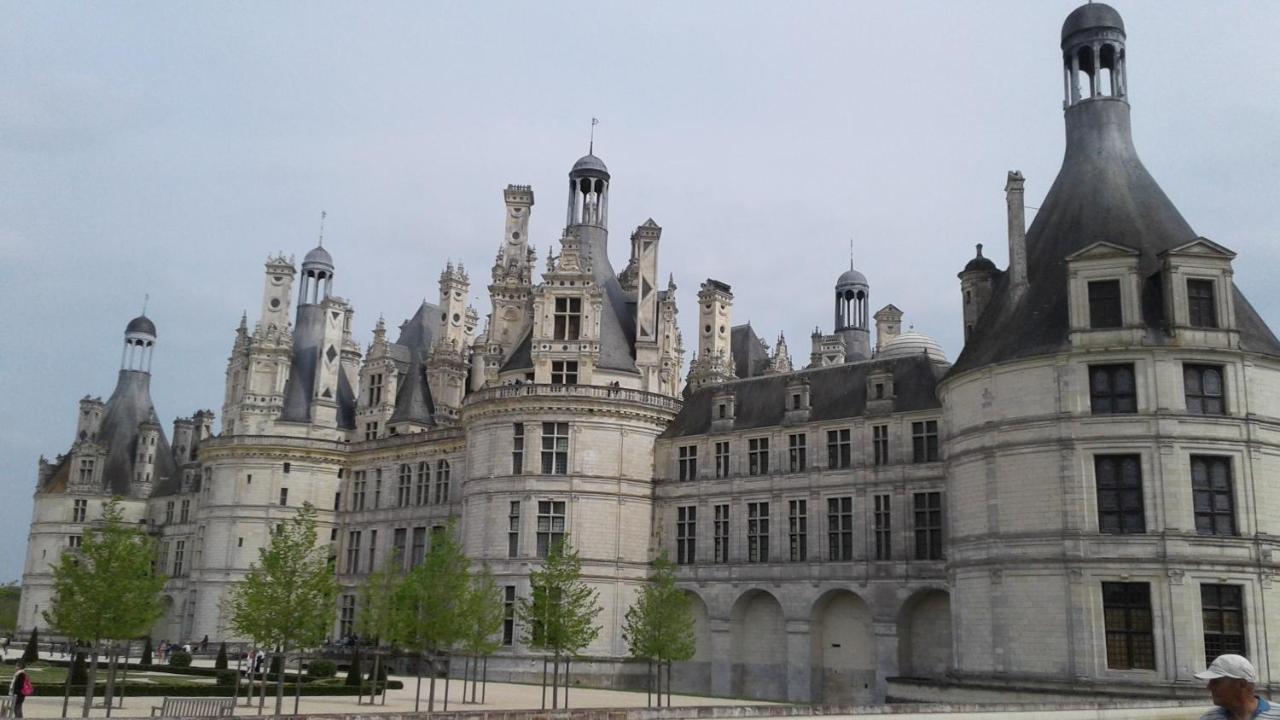 Les Hirondelles Onzain Exterior foto