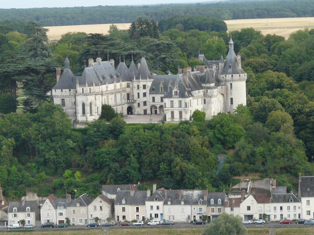 Les Hirondelles Onzain Exterior foto