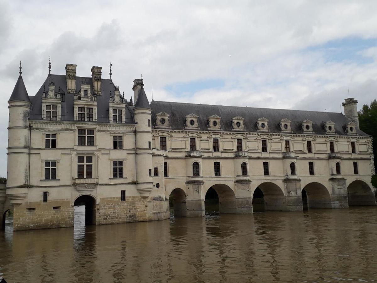 Les Hirondelles Onzain Exterior foto