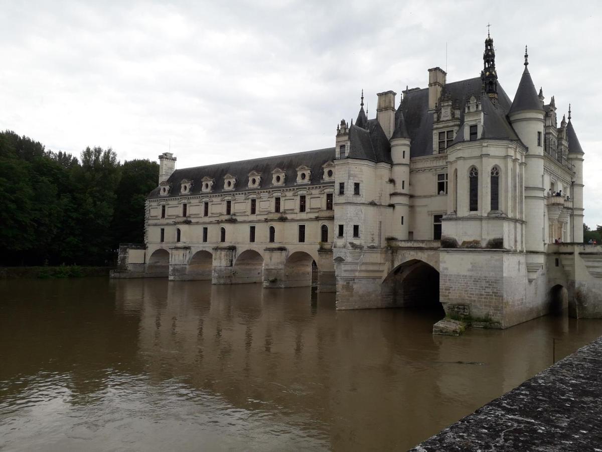 Les Hirondelles Onzain Exterior foto