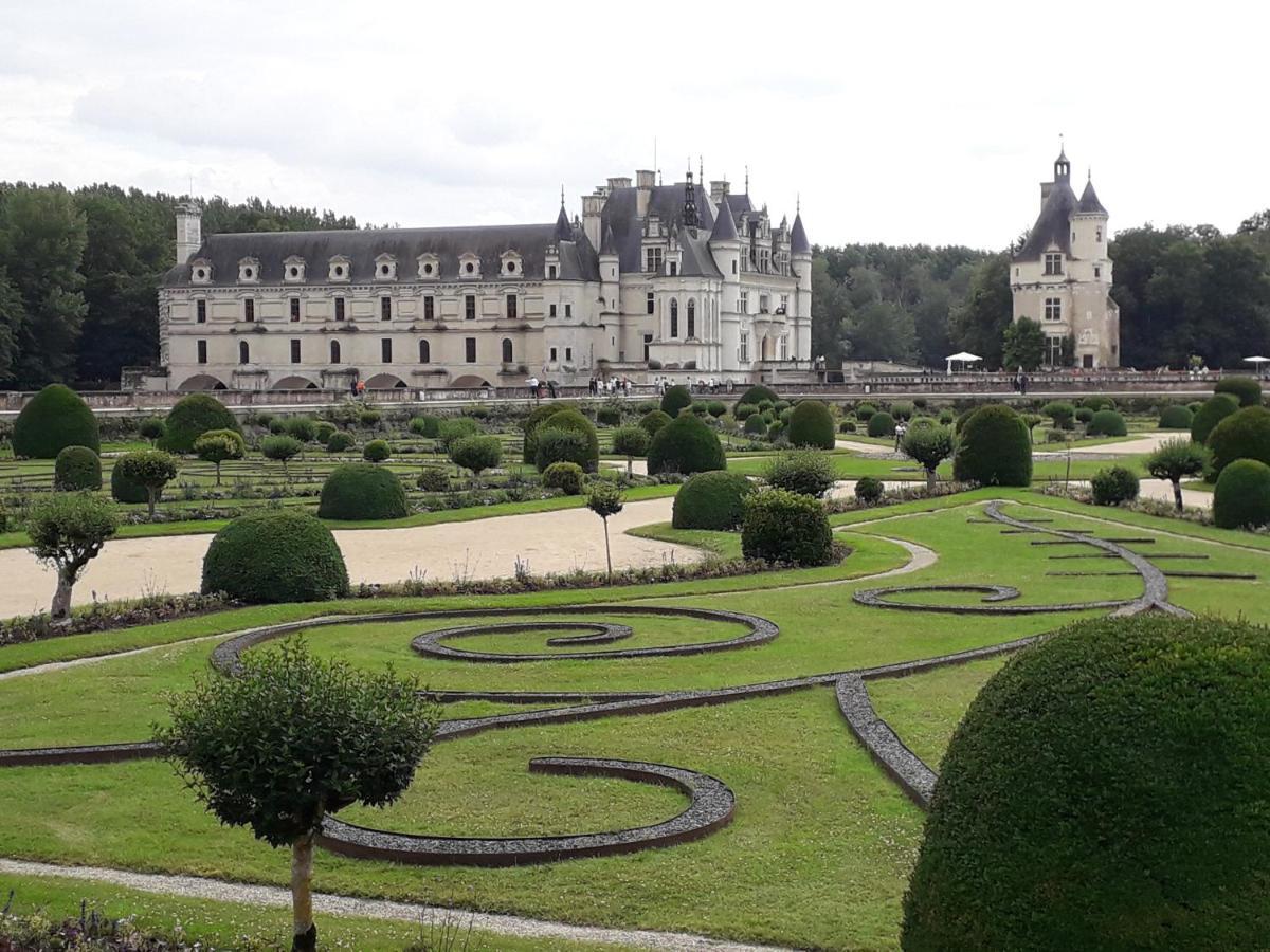 Les Hirondelles Onzain Exterior foto