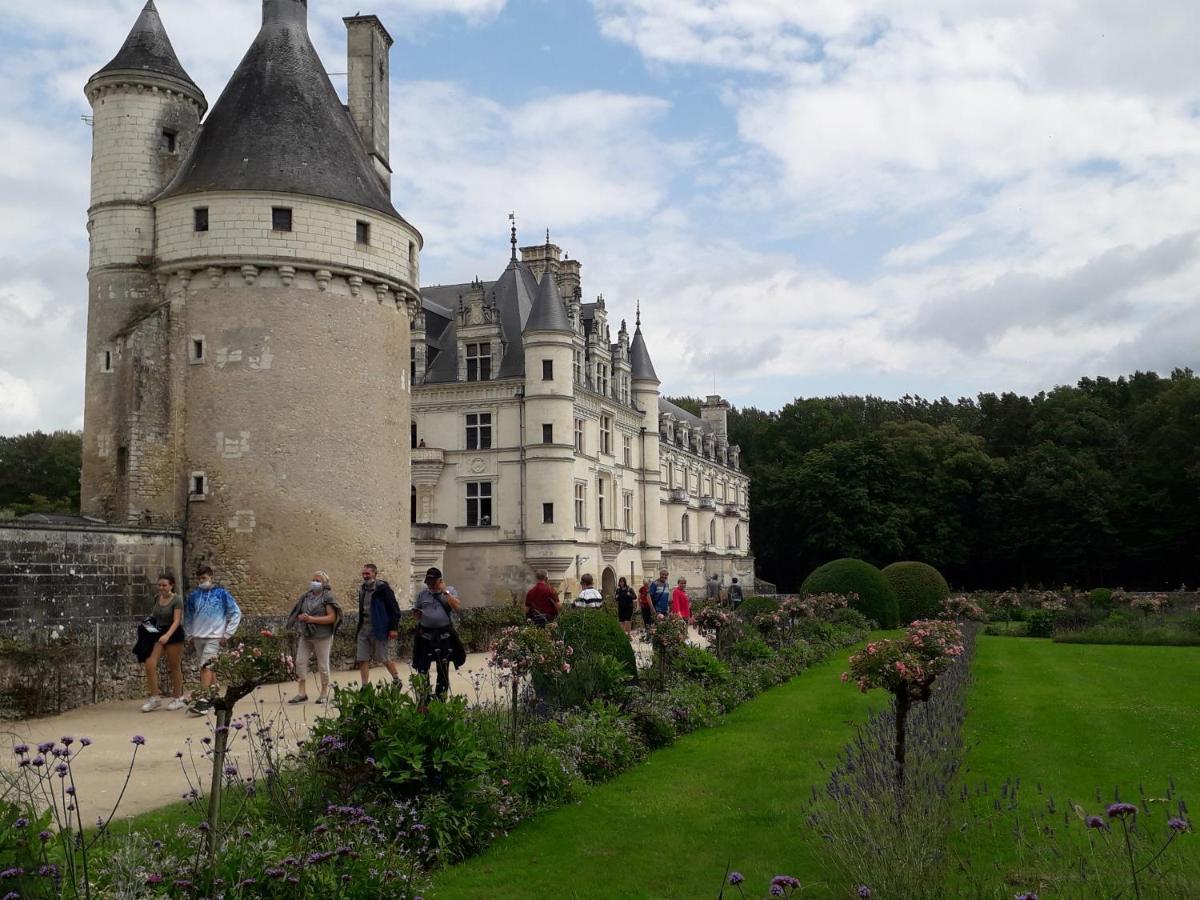 Les Hirondelles Onzain Exterior foto